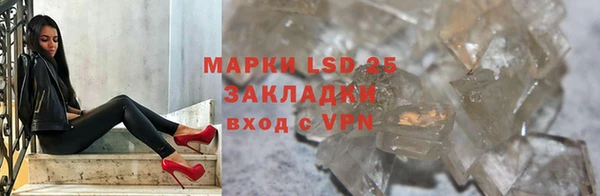 шишки Баксан