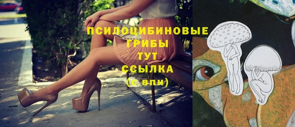 шишки Баксан