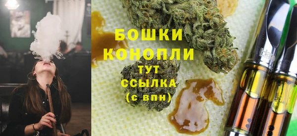 шишки Баксан