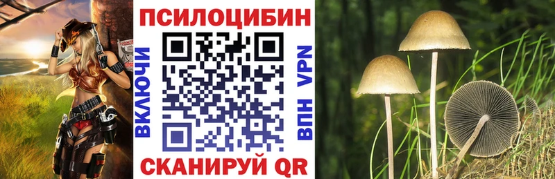 kraken зеркало  Сураж  Псилоцибиновые грибы мухоморы 